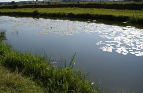 Potman’s Heath Channel