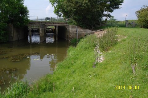 Potman’s Heath Channel