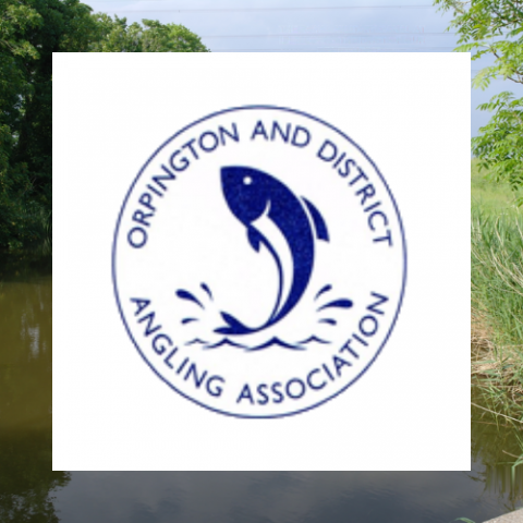 Orpington & District Angling Association