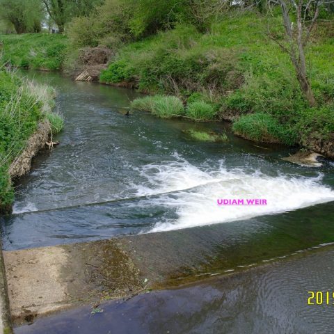 Udiam