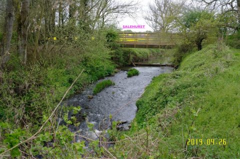 Venue 2 – River Rother, Salehurst (St. Mary’s Church, Church Lane)