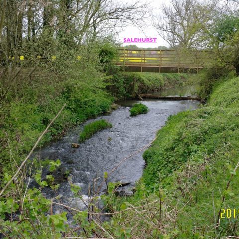 Venue 2 – River Rother, Salehurst (St. Mary’s Church, Church Lane)