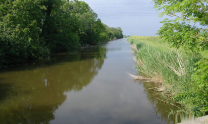 Rother Fishery Association Report – September 2020