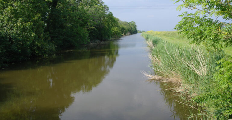 Rother Fishery Association Report – September 2020