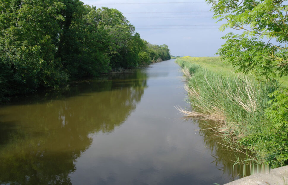 Rother Fishery Association Report – September 2020