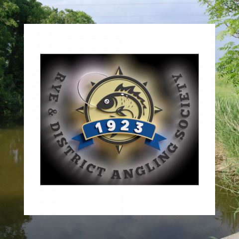 Rye and District Angling Association